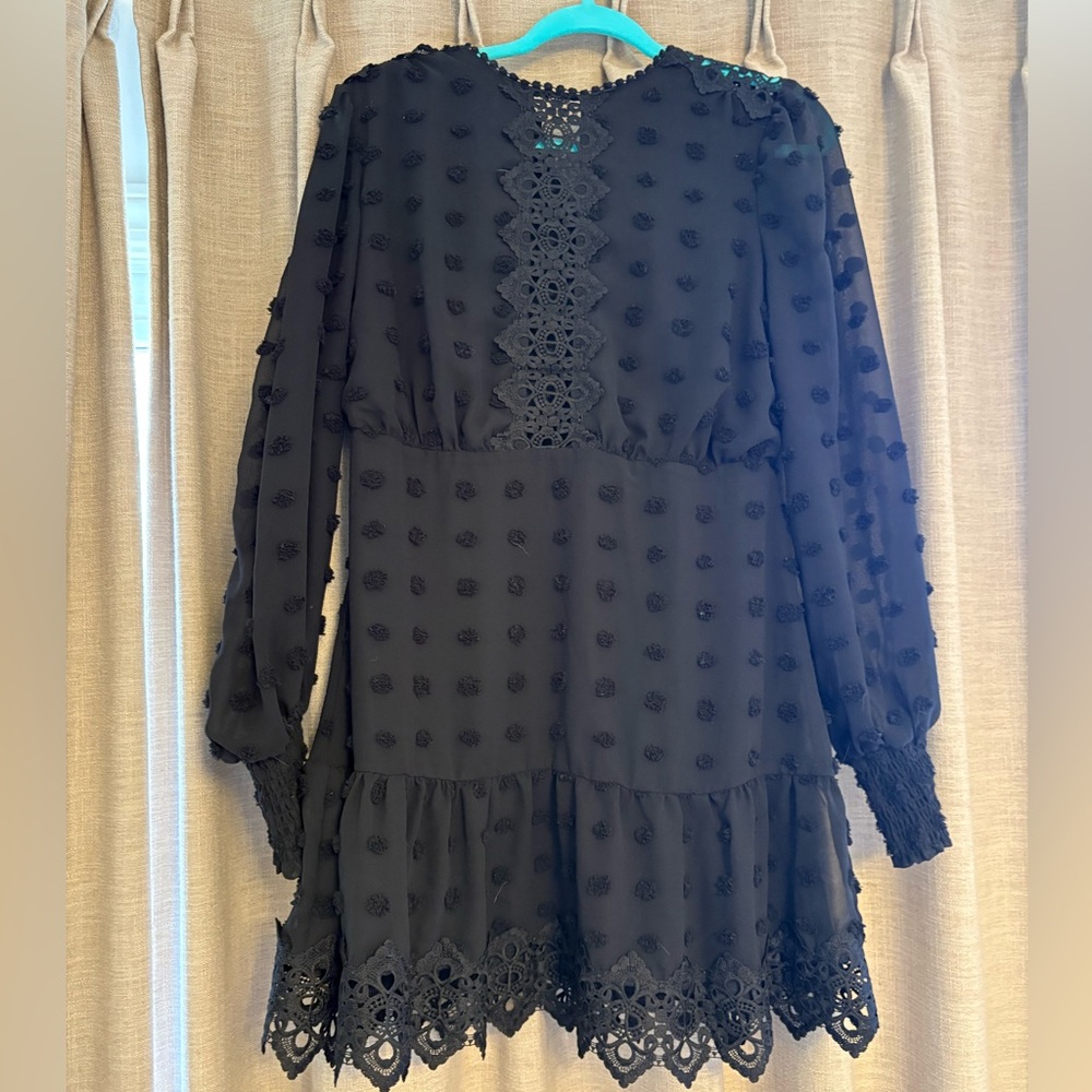 Black Textured Swiss Dot Lace Trim Mini Dress